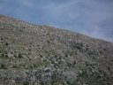 chiran__13_07_2010_30.jpg