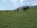 chiran__13_07_2010_35.jpg