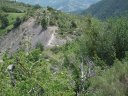 chiran__13_07_2010_37.jpg