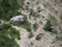 chiran__13_07_2010_40.jpg