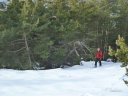 couradour_dec_2010_17.jpg