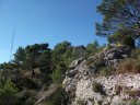 faron_26_09_2010_32.jpg