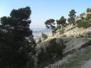 faron_classique_11.jpg
