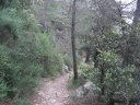 le_coudon_11.jpg