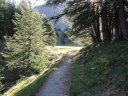 pelat_2010_14.jpg