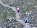 pelat_2010_20.jpg