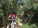 reganas_2011_28_1.jpg