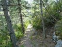 sentier_du_villard_2011_17.jpg