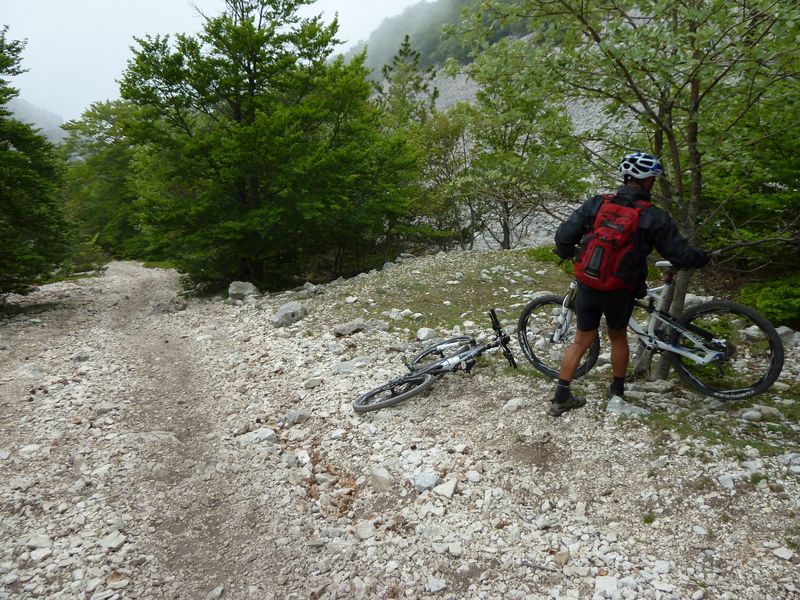 ventoux_2011_53_1.jpg