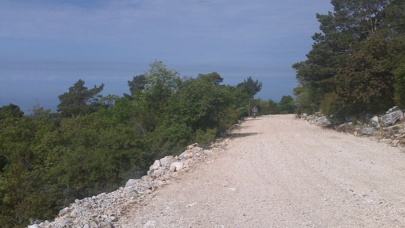 ventoux_2011_robert_05_1.jpg