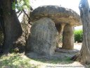 IMG_4982.JPG