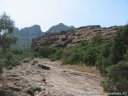 IMG_5093.jpg