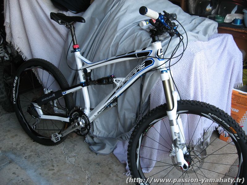 zesty 514 2010

