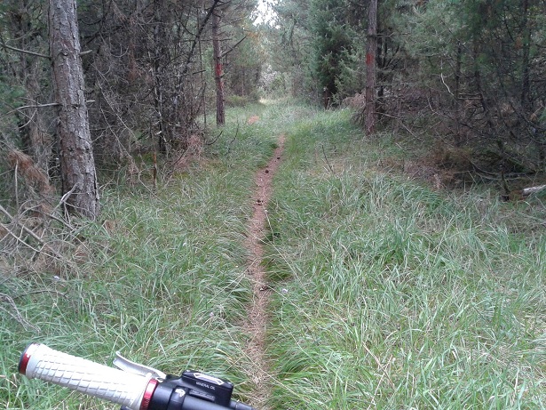 2012-09-19_15_45_58.jpg