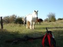 sortie_vtt_sur_les_hauteurs_de_givry_en_bourgogne016.JPG