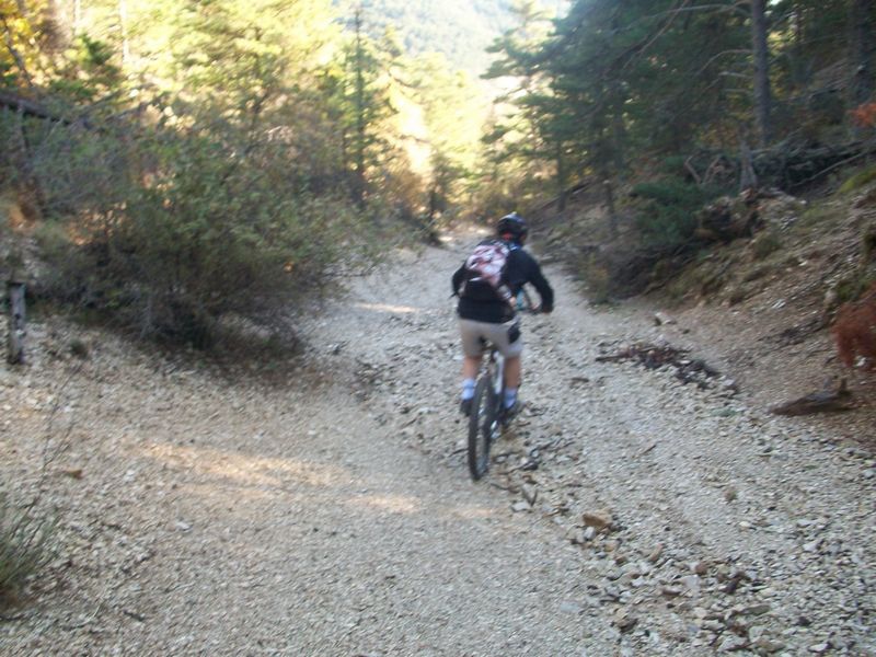 100_2489.JPG