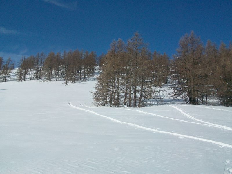 100_2841.jpg