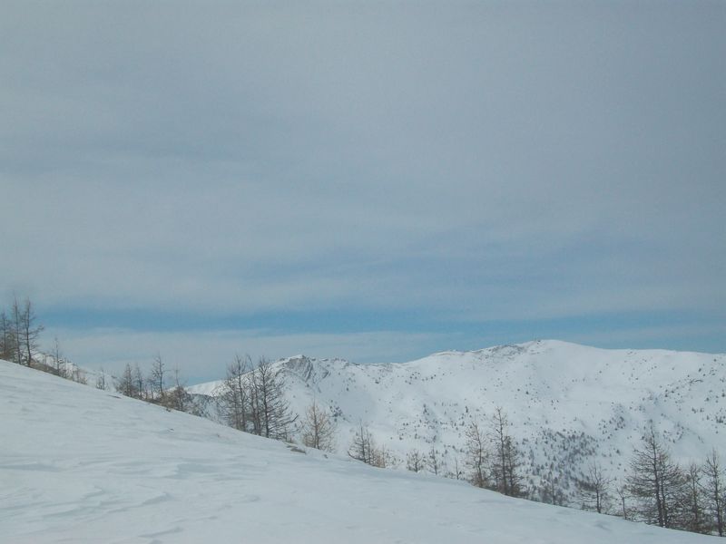 100_2847.jpg