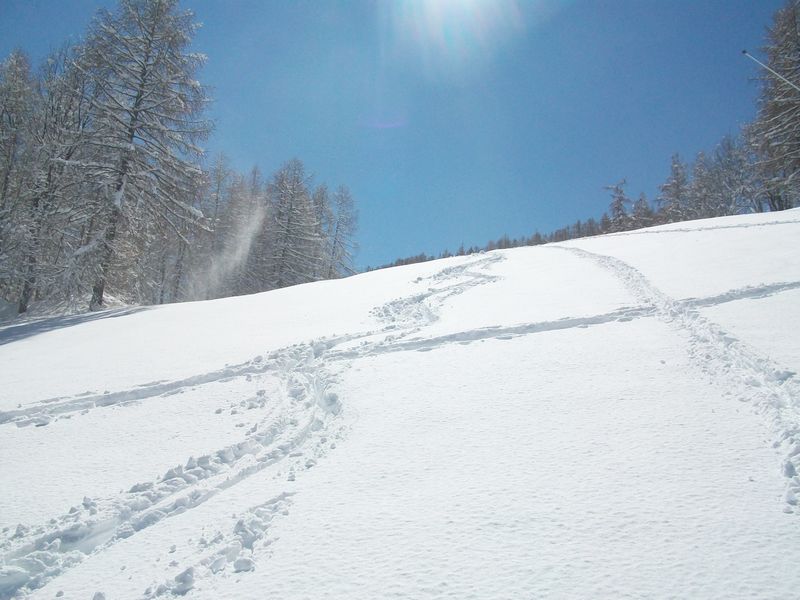 100_3075.jpg