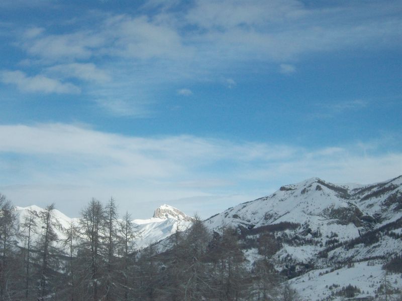 100_3084.jpg