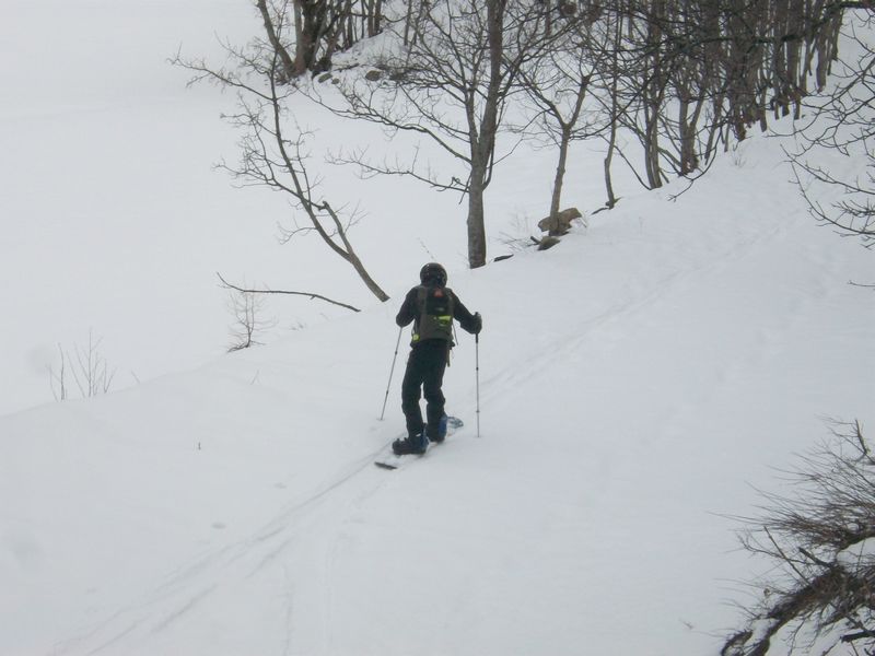 100_3099.jpg