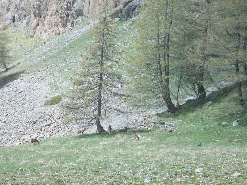 100_3335~0.jpg
