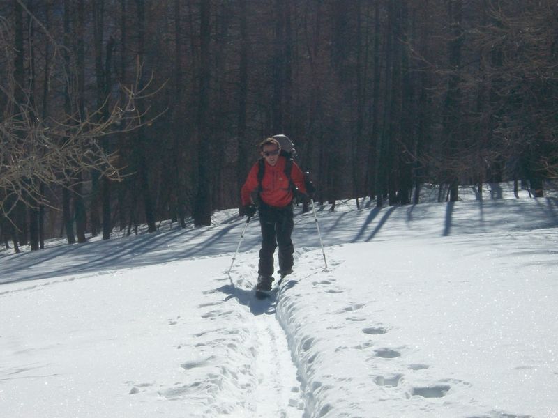 100_4118.jpg