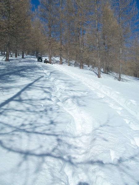 100_4130.jpg