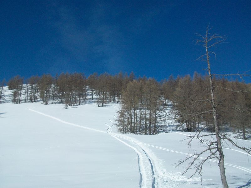 100_4136.jpg
