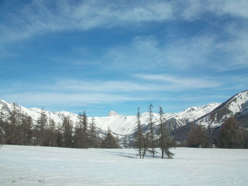 100_4988.jpg