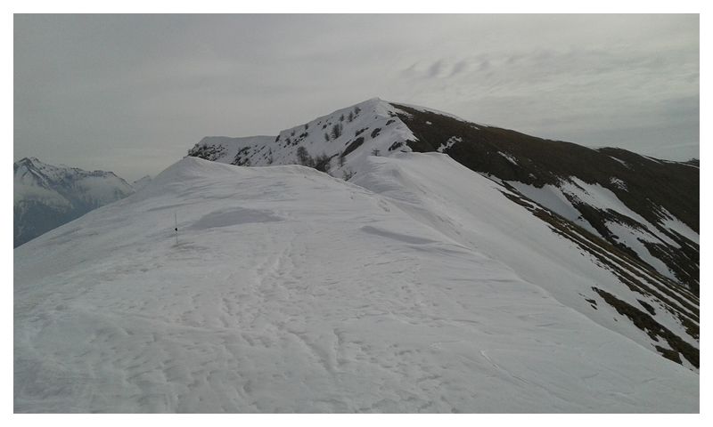 20150321_095704.jpg