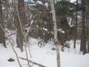 100_2831.jpg