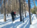 100_4106.jpg