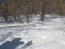 100_4121.jpg