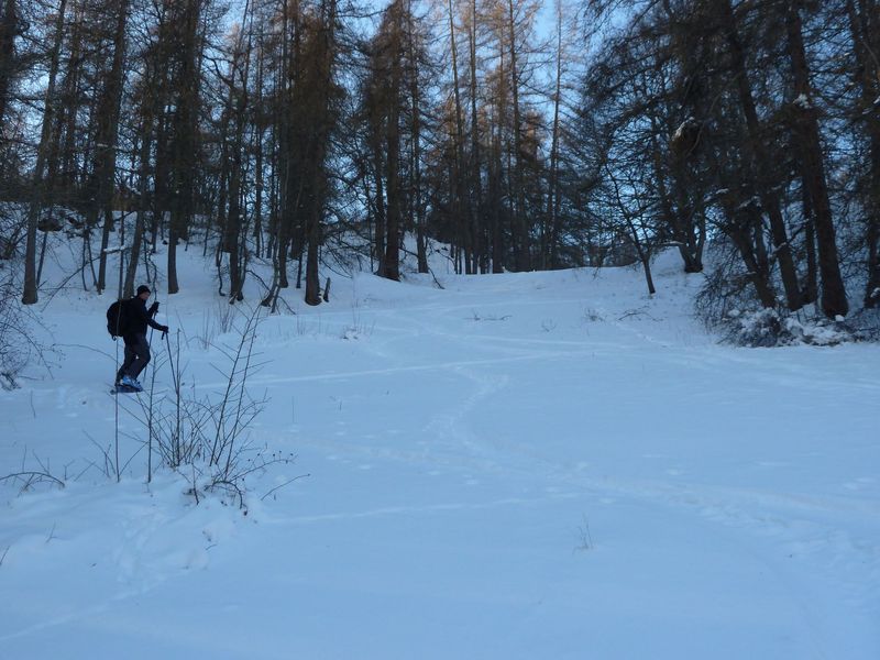 valdemars_dec_2011_017.jpg