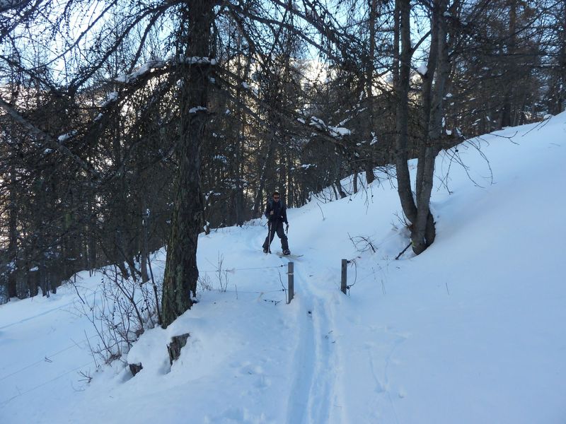 valdemars_dec_2011_019.jpg
