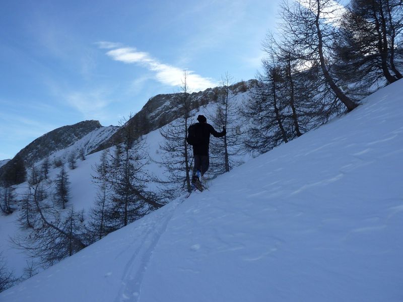 valdemars_dec_2011_061.jpg