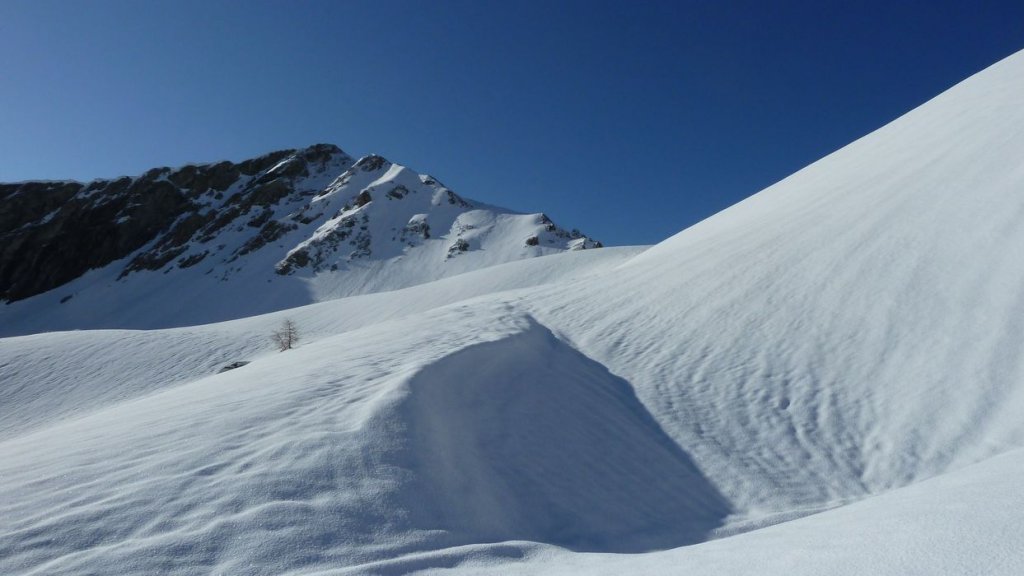 caduc_avril_2014_100.jpg