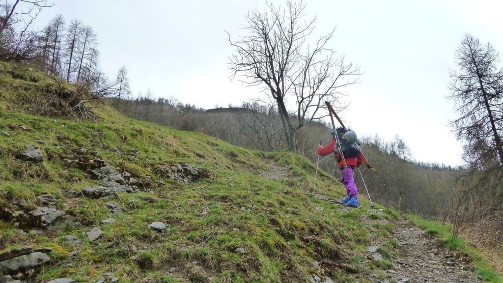 caduc_avril_2014_12.jpg