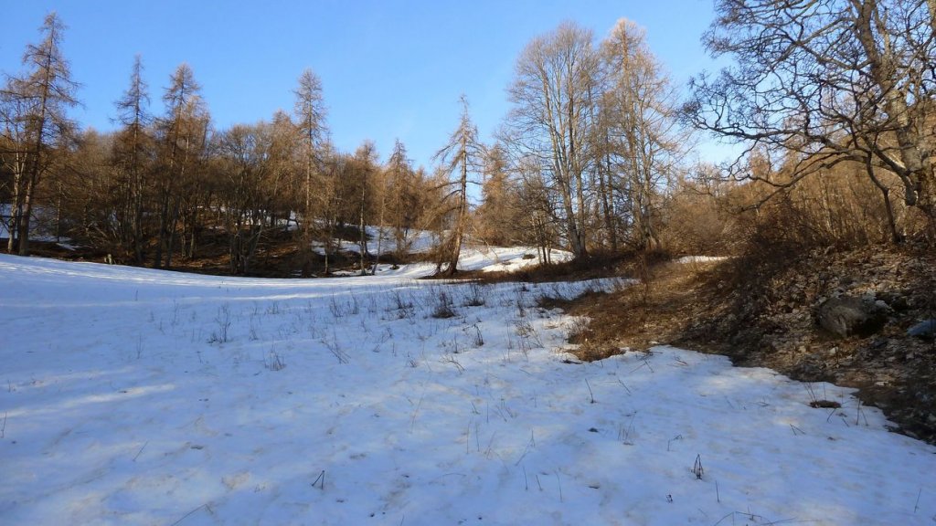 valdemars_avril_2016_009.JPG