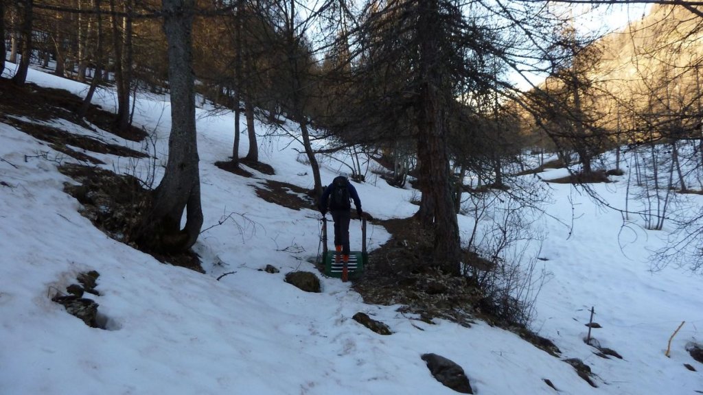 valdemars_avril_2016_010.JPG
