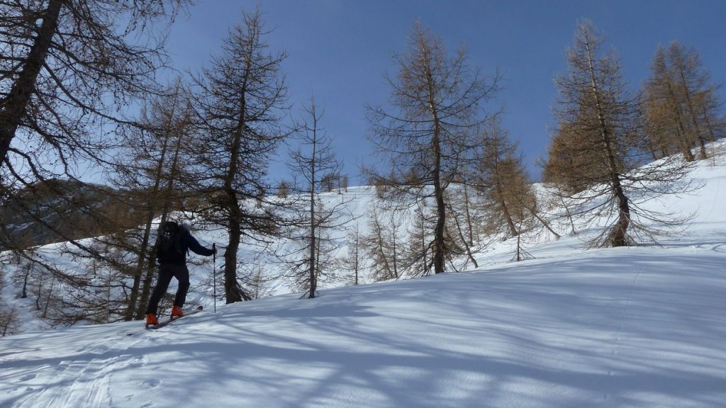 valdemars_avril_2016_019.JPG