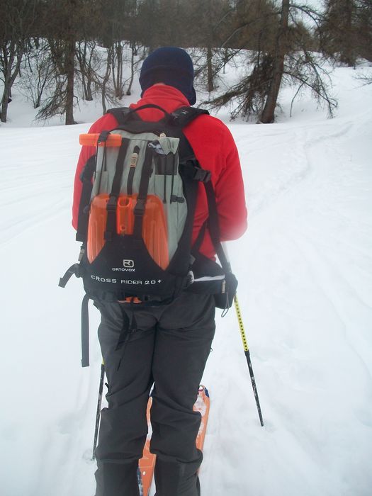 valdemars_fev_2013_018.jpg