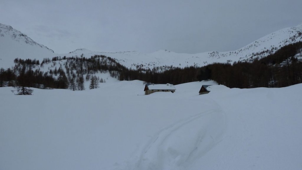 valdemars_fev_2013_026.jpg
